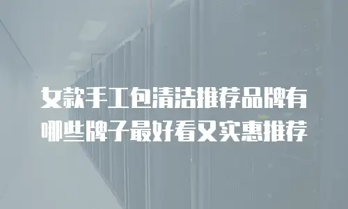 女款手工包清洁推荐品牌有哪些牌子最好看又实惠推荐