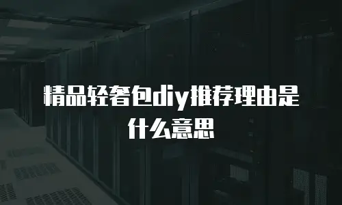精品轻奢包diy推荐理由是什么意思