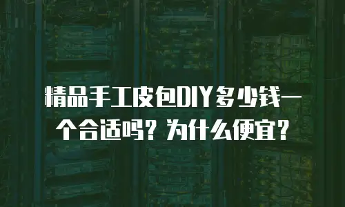 精品手工皮包DIY多少钱一个合适吗？为什么便宜？