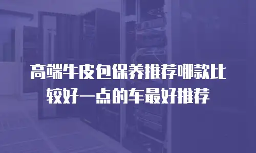 高端牛皮包保养推荐哪款比较好一点的车最好推荐