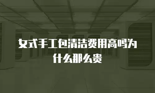 女式手工包清洁费用高吗为什么那么贵