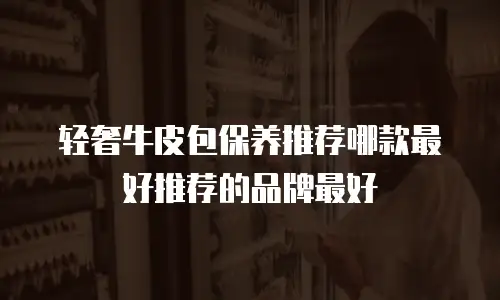 轻奢牛皮包保养推荐哪款最好推荐的品牌最好