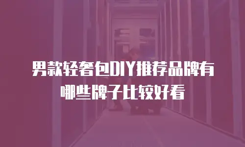 男款轻奢包DIY推荐品牌有哪些牌子比较好看