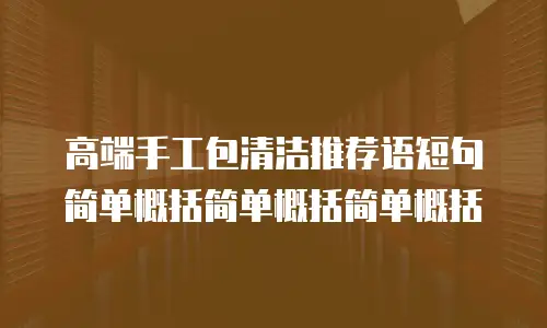 高端手工包清洁推荐语短句简单概括简单概括简单概括