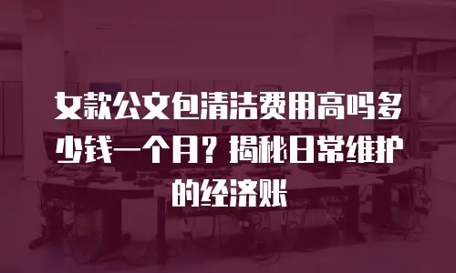 女款公文包清洁费用高吗多少钱一个月？揭秘日常维护的经济账