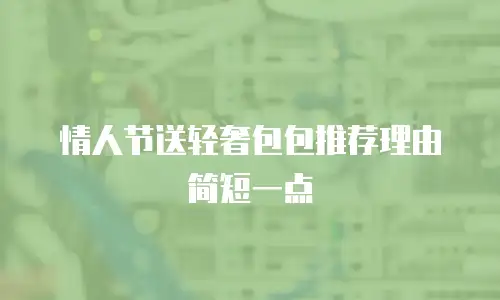 情人节送轻奢包包推荐理由简短一点