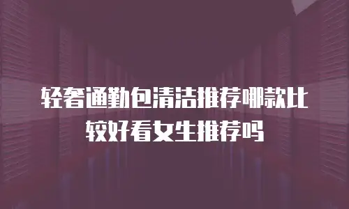 轻奢通勤包清洁推荐哪款比较好看女生推荐吗