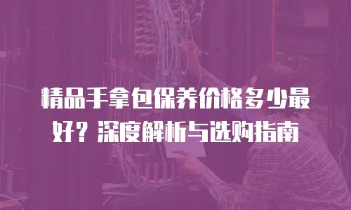 精品手拿包保养价格多少最好？深度解析与选购指南