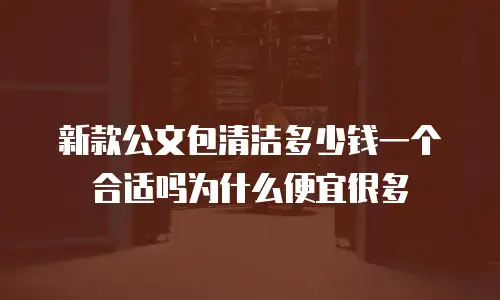 新款公文包清洁多少钱一个合适吗为什么便宜很多