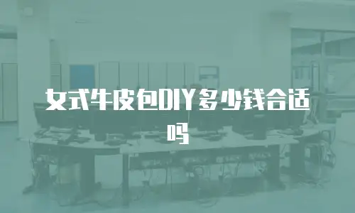 女式牛皮包DIY多少钱合适吗