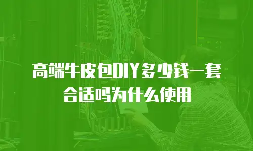 高端牛皮包DIY多少钱一套合适吗为什么使用