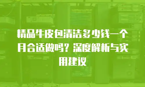 精品牛皮包清洁多少钱一个月合适做吗？深度解析与实用建议