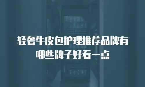 轻奢牛皮包护理推荐品牌有哪些牌子好看一点