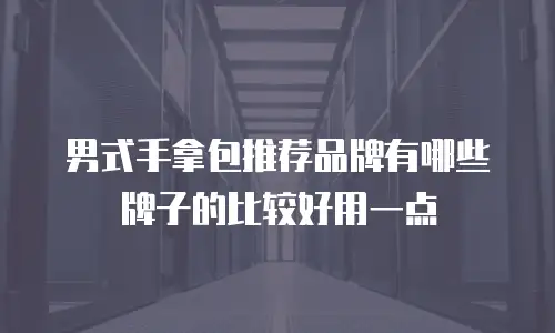 男式手拿包推荐品牌有哪些牌子的比较好用一点