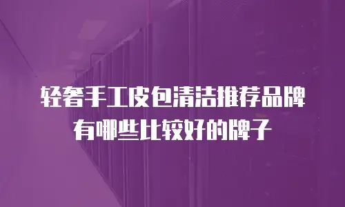 轻奢手工皮包清洁推荐品牌有哪些比较好的牌子