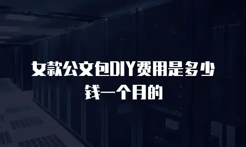 女款公文包DIY费用是多少钱一个月的