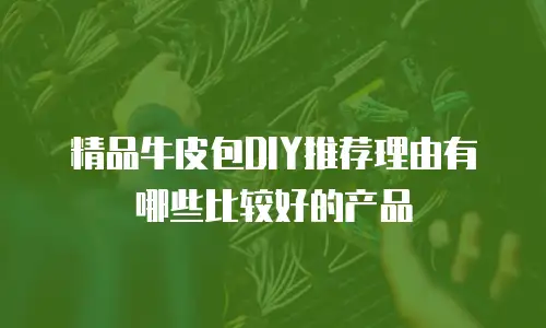 精品牛皮包DIY推荐理由有哪些比较好的产品