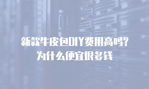 新款牛皮包DIY费用高吗？为什么便宜很多钱