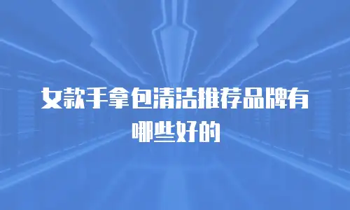 女款手拿包清洁推荐品牌有哪些好的
