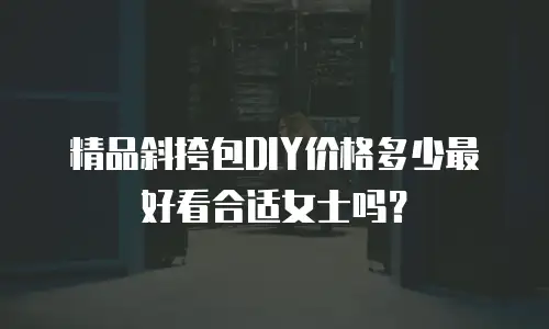 精品斜挎包DIY价格多少最好看合适女士吗？