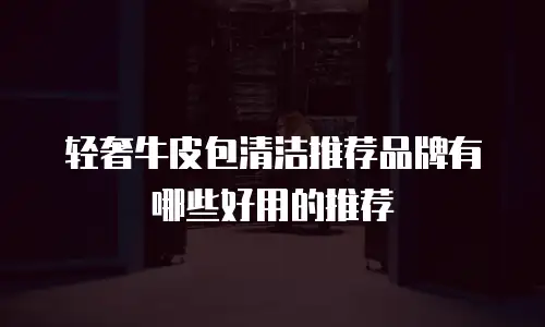 轻奢牛皮包清洁推荐品牌有哪些好用的推荐