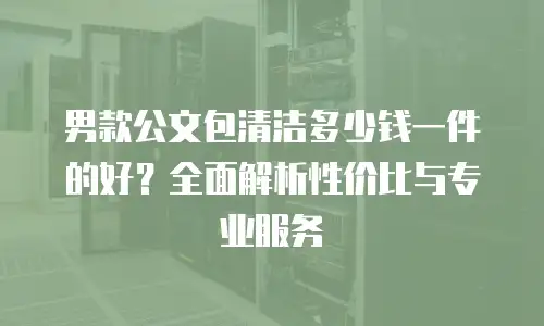 男款公文包清洁多少钱一件的好？全面解析性价比与专业服务