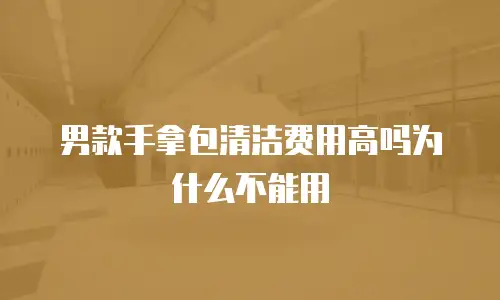 男款手拿包清洁费用高吗为什么不能用