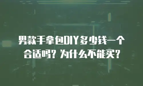 男款手拿包DIY多少钱一个合适吗？为什么不能买？