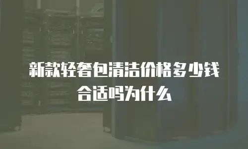新款轻奢包清洁价格多少钱合适吗为什么