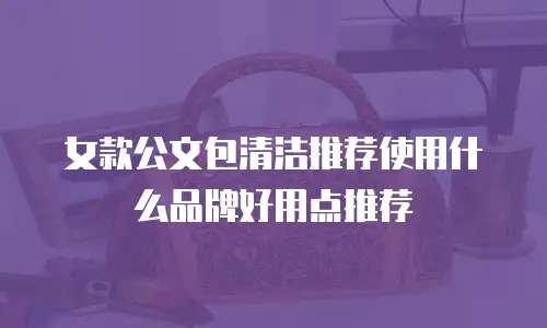 女款公文包清洁推荐使用什么品牌好用点推荐