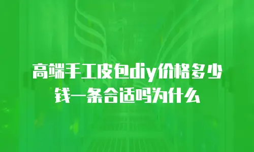 高端手工皮包diy价格多少钱一条合适吗为什么