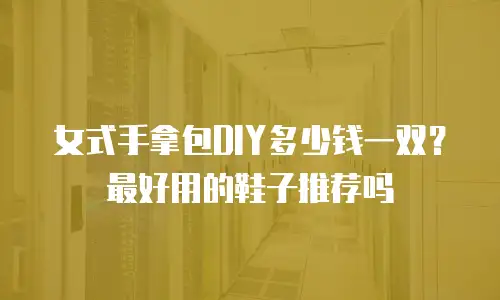 女式手拿包DIY多少钱一双？最好用的鞋子推荐吗