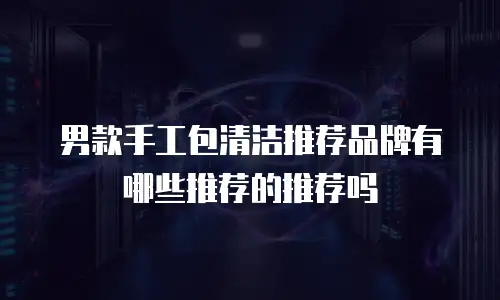 男款手工包清洁推荐品牌有哪些推荐的推荐吗