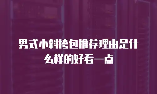 男式小斜挎包推荐理由是什么样的好看一点
