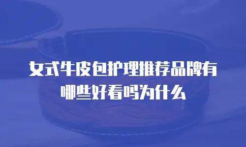 女式牛皮包护理推荐品牌有哪些好看吗为什么
