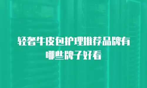 轻奢牛皮包护理推荐品牌有哪些牌子好看