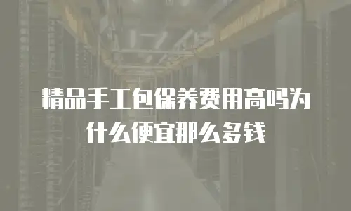 精品手工包保养费用高吗为什么便宜那么多钱