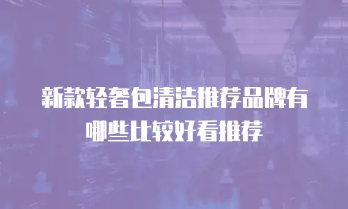 新款轻奢包清洁推荐品牌有哪些比较好看推荐