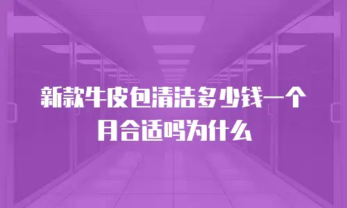 新款牛皮包清洁多少钱一个月合适吗为什么