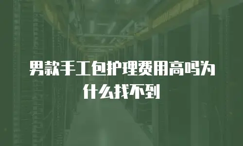 男款手工包护理费用高吗为什么找不到