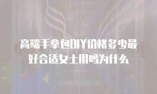 高端手拿包DIY价格多少最好合适女士用吗为什么