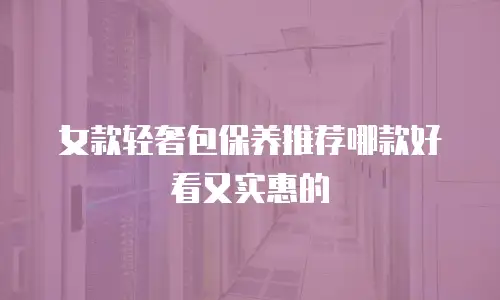 女款轻奢包保养推荐哪款好看又实惠的