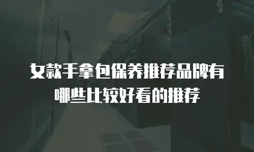 女款手拿包保养推荐品牌有哪些比较好看的推荐