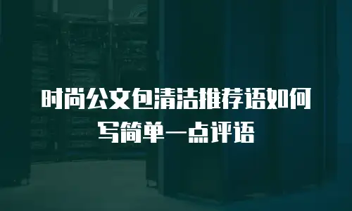时尚公文包清洁推荐语如何写简单一点评语