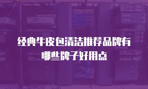 经典牛皮包清洁推荐品牌有哪些牌子好用点