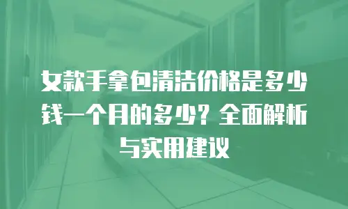 女款手拿包清洁价格是多少钱一个月的多少？全面解析与实用建议