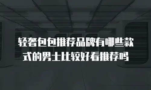 轻奢包包推荐品牌有哪些款式的男士比较好看推荐吗