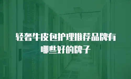 轻奢牛皮包护理推荐品牌有哪些好的牌子