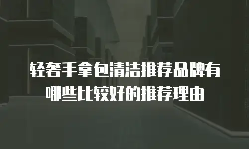 轻奢手拿包清洁推荐品牌有哪些比较好的推荐理由