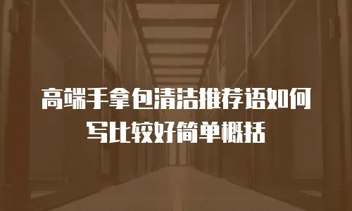 高端手拿包清洁推荐语如何写比较好简单概括